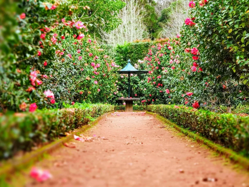 Ảnh minh họa cảnh quan không gian phân khu The Garden (1)